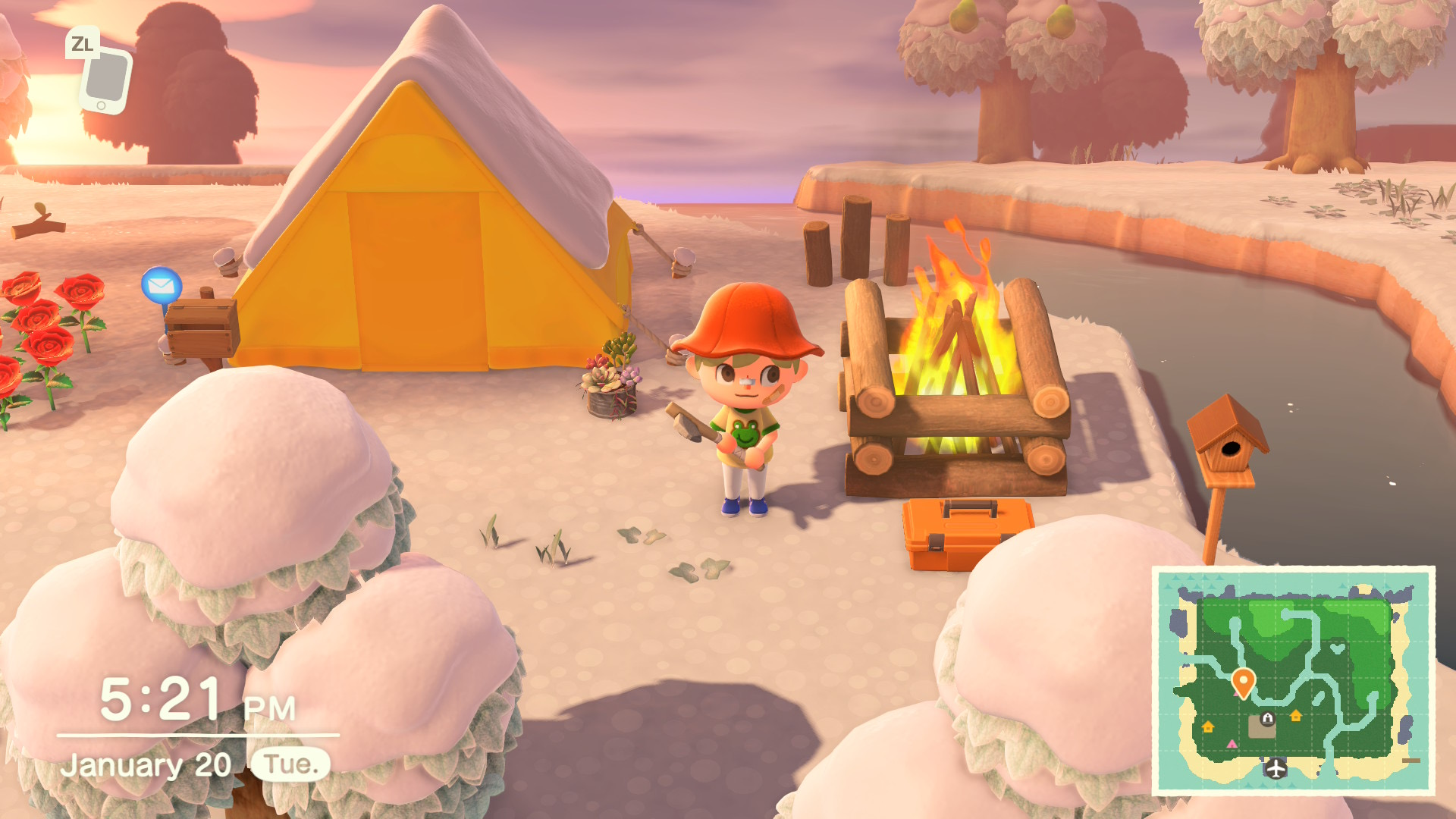 Animal Crossing: New Horizons pro Nintendo Switch 2