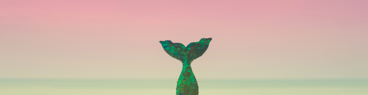 creator-economy-viditelnost-prijmy-tvurci